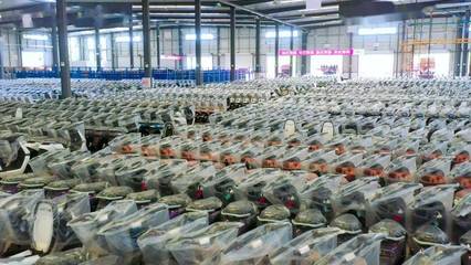 第8萬輛下線!你家的愛瑪電動車可能是銅梁產