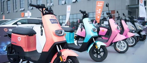 多年來騎電動(dòng)汽車,哪個(gè)牌子的電池壽命更長 說明價(jià)格,質(zhì)量